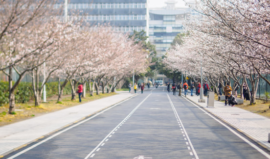 進学・就職状況