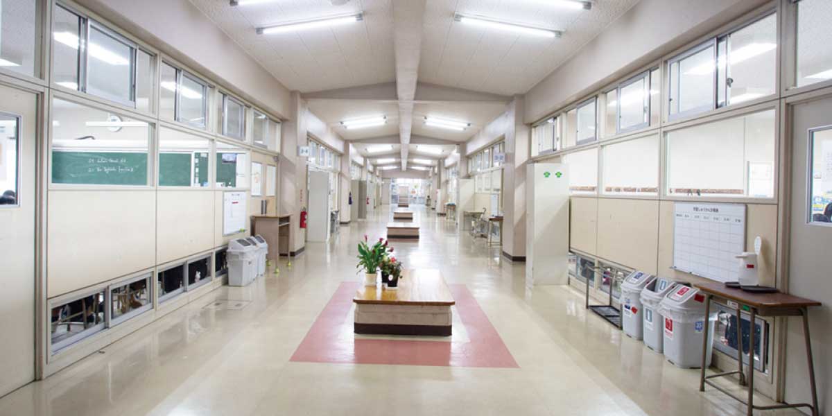 教室棟廊下